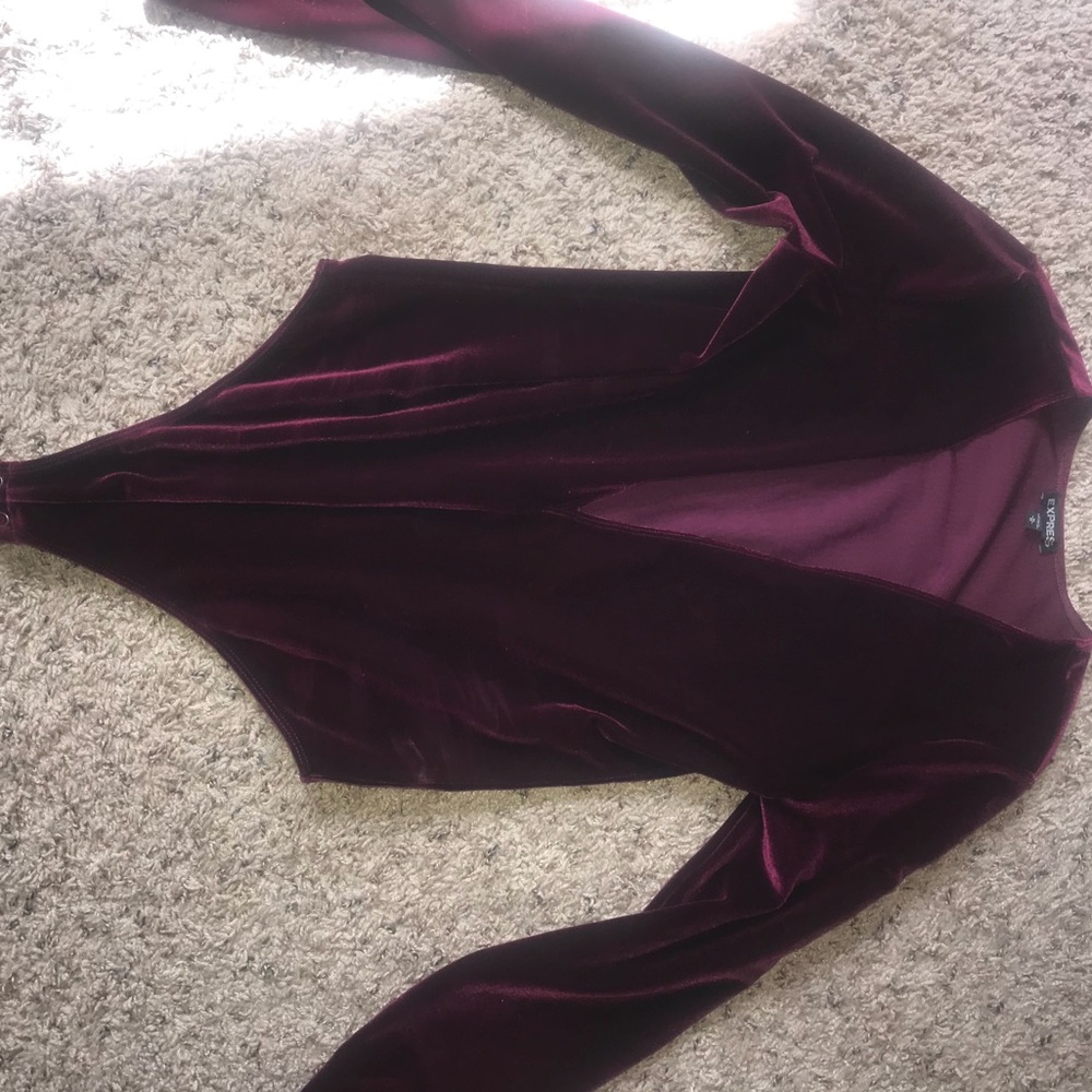 Velvet long sleeve plunge neck bodysuit